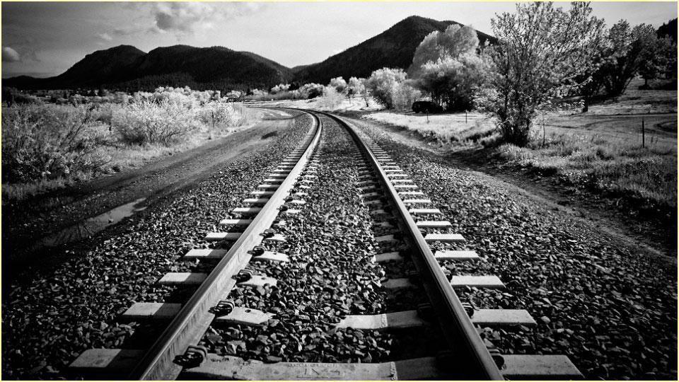 ERFA position paper on the Transport White Paper revision